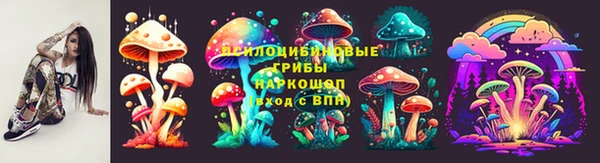 тгк Алексин
