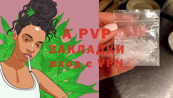 стаф Алексеевка