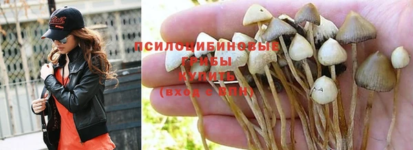 стаф Алексеевка